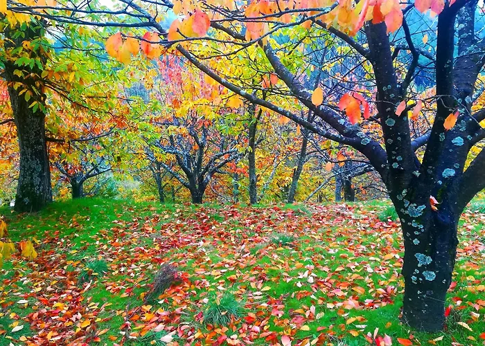 El Arrecorzo by #cherrygredos