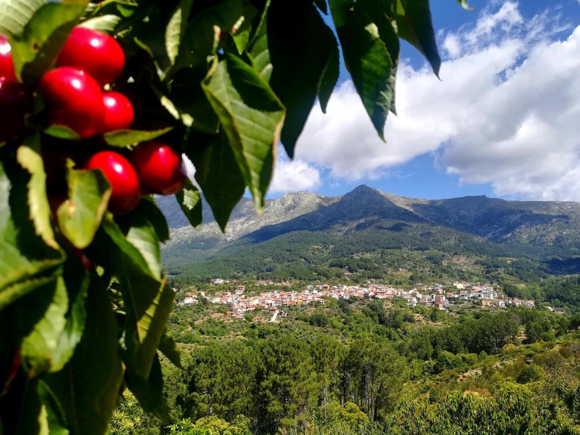 El Arrecorzo By #cherrygredos *
