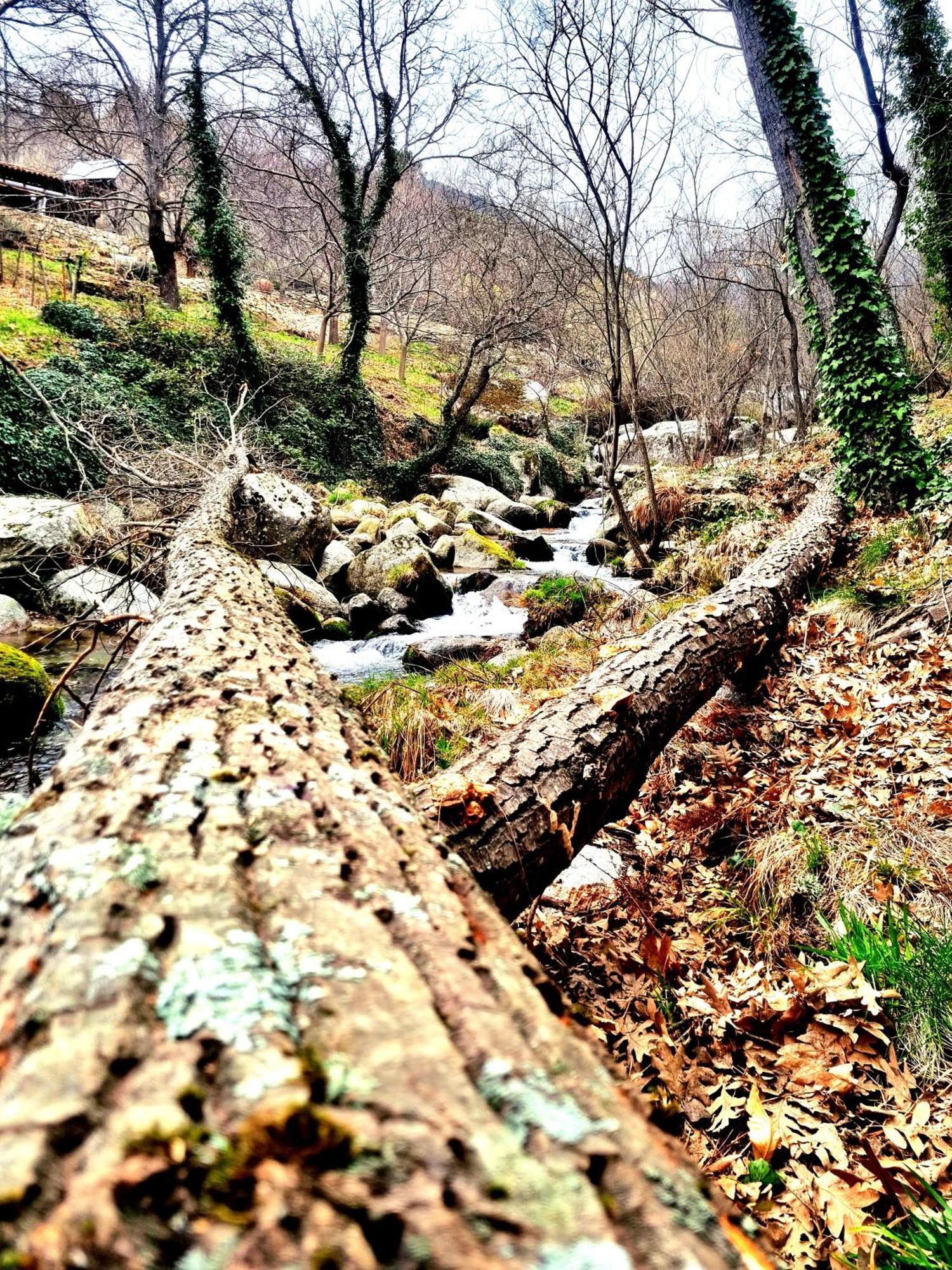 El Arrecorzo By #cherrygredos * El Arenal (Castile and Leon)