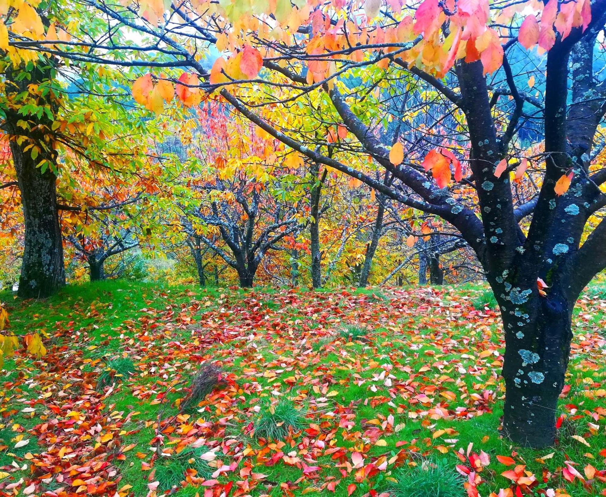 El Arrecorzo By #cherrygredos *