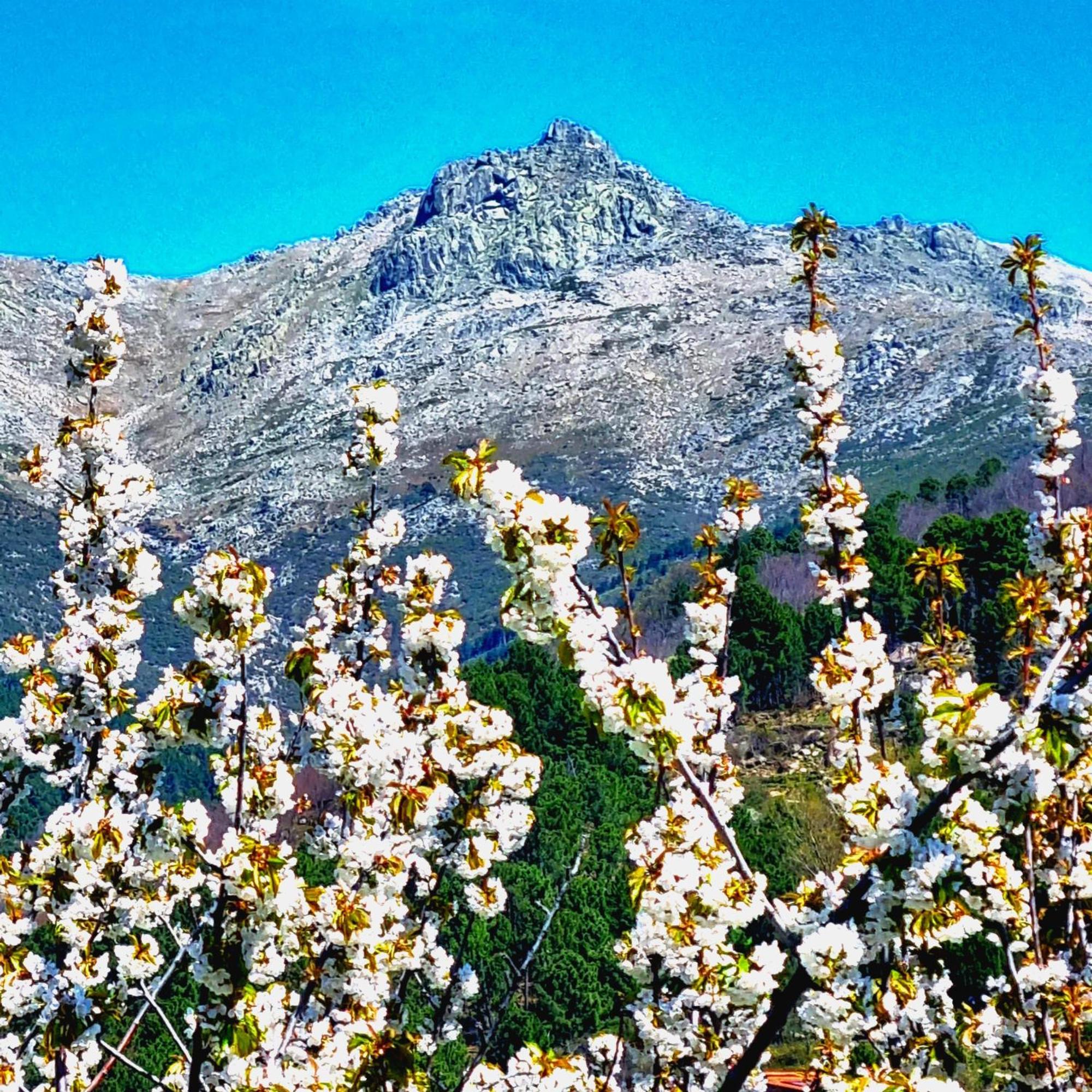 El Arrecorzo By #cherrygredos Apartament El Arenal (Castile and Leon)